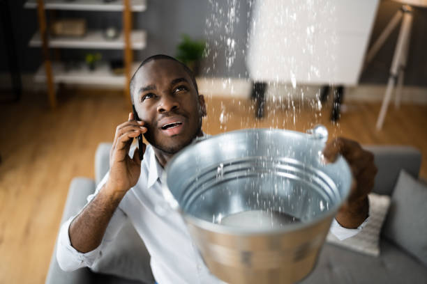 Best Mold removal after water damage  in Fairfax, CA