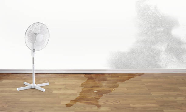 Best Fire Damage Restoration  in Fairfax, CA