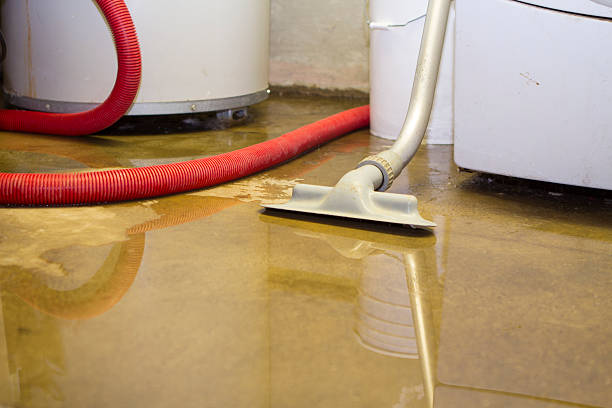 Professional Water damage restoration in Fairfax, CA